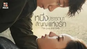 หนึ่งปรารถนาสัญญาแห่งรัก