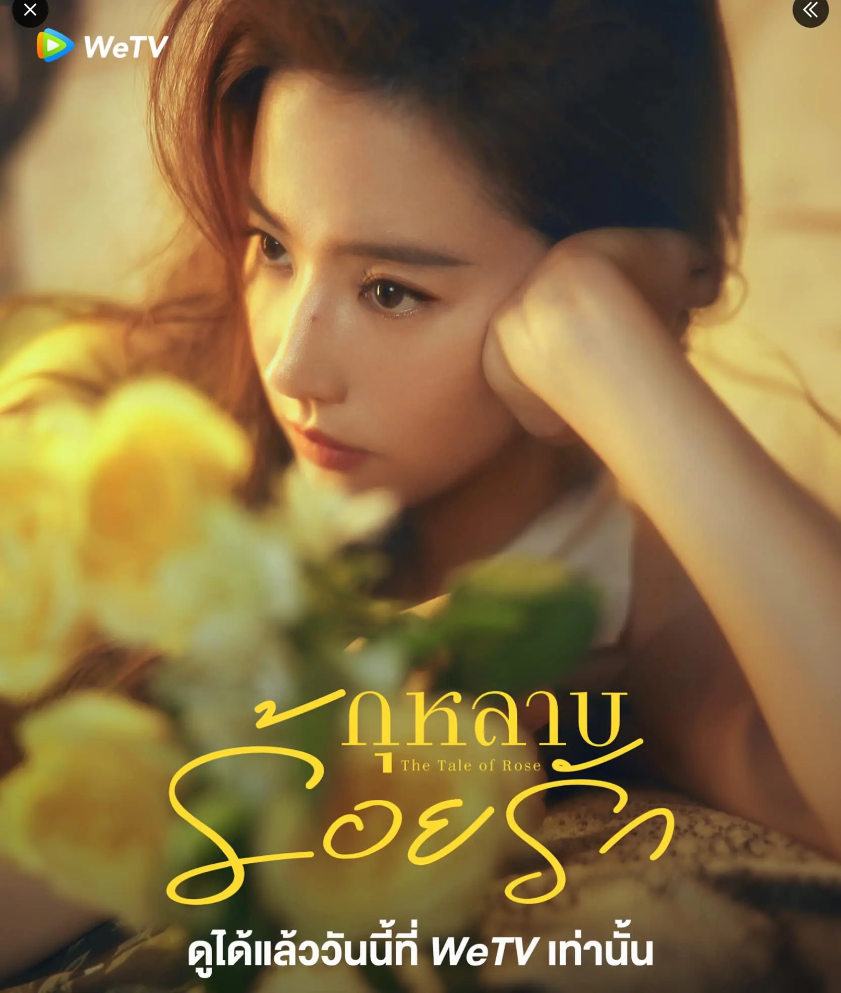 ดูซีรี่ย์ The Tale of Rose (2024) กุหลาบร้อยรัก พากย์ไทย (ครบทุกตอน)