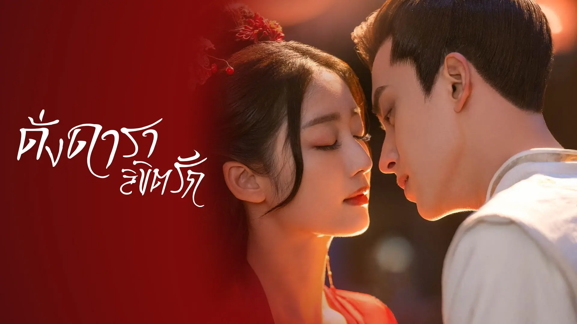 ดั่งดาราลิขิตรัก