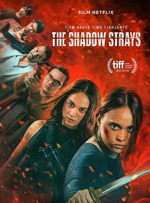 ดูหนัง The Shadow Strays (2024) นักฆ่าเงาล่าทรชน พากย์ไทย จบเรื่อง