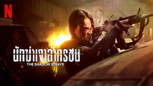 นักฆ่าเงาล่าทรชน