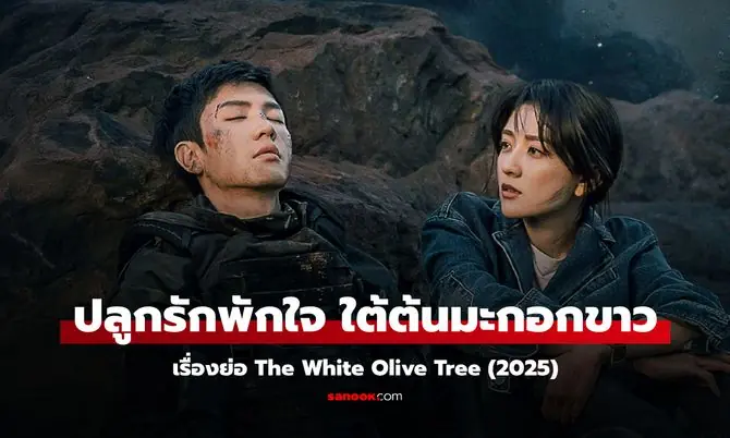 ปลูกรักพักใจ ใต้ต้นมะกอกขาว
