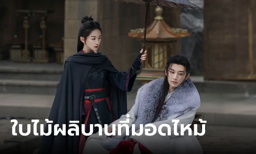 ใบไม้ผลิบานที่มอดไหม้