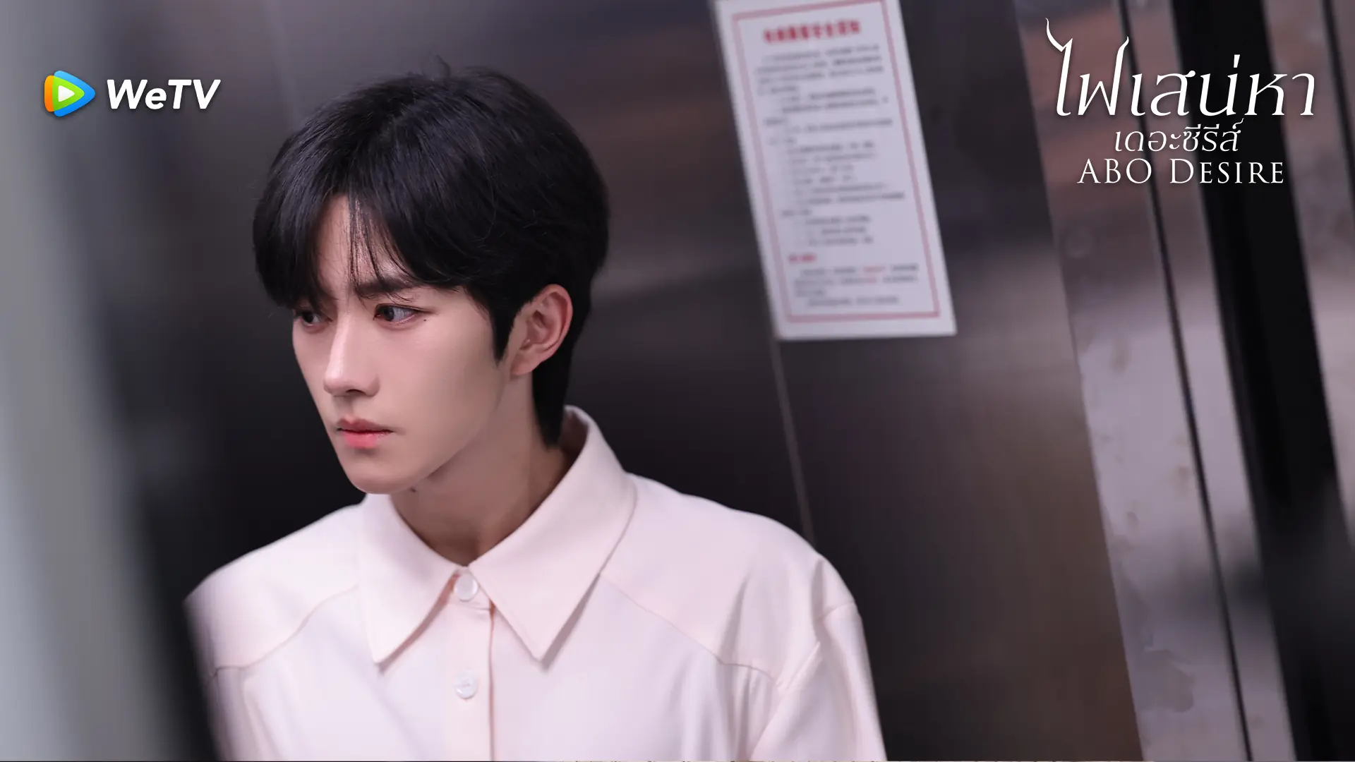 ไฟเสน่หาเดอะซีรีส์