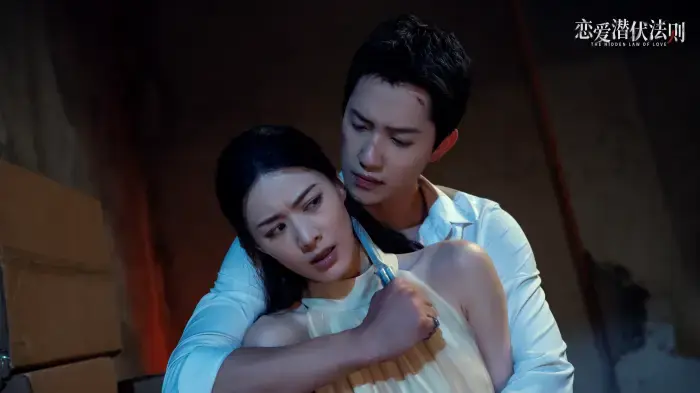 หัวใจซ่อนเงา