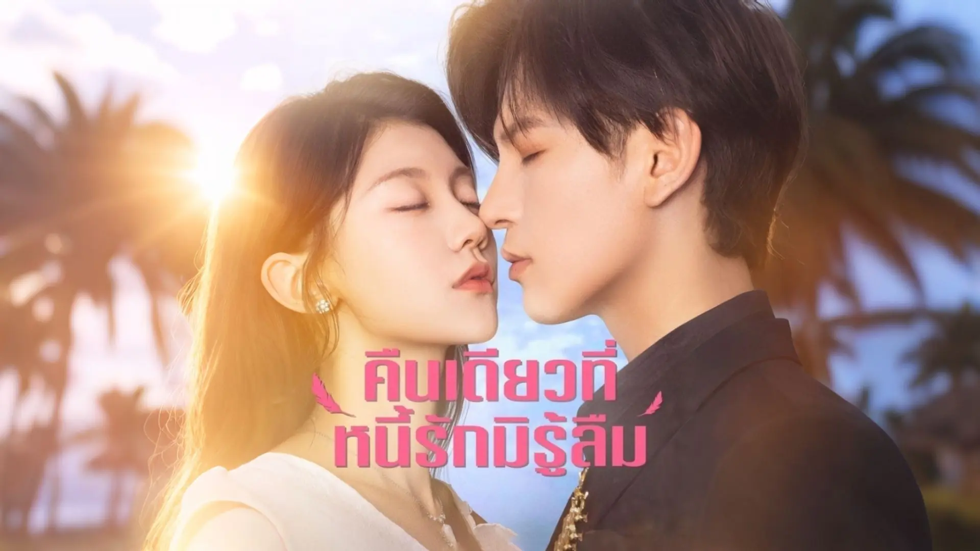 คืนเดียวที่หนี้รักมิรู้ลืม