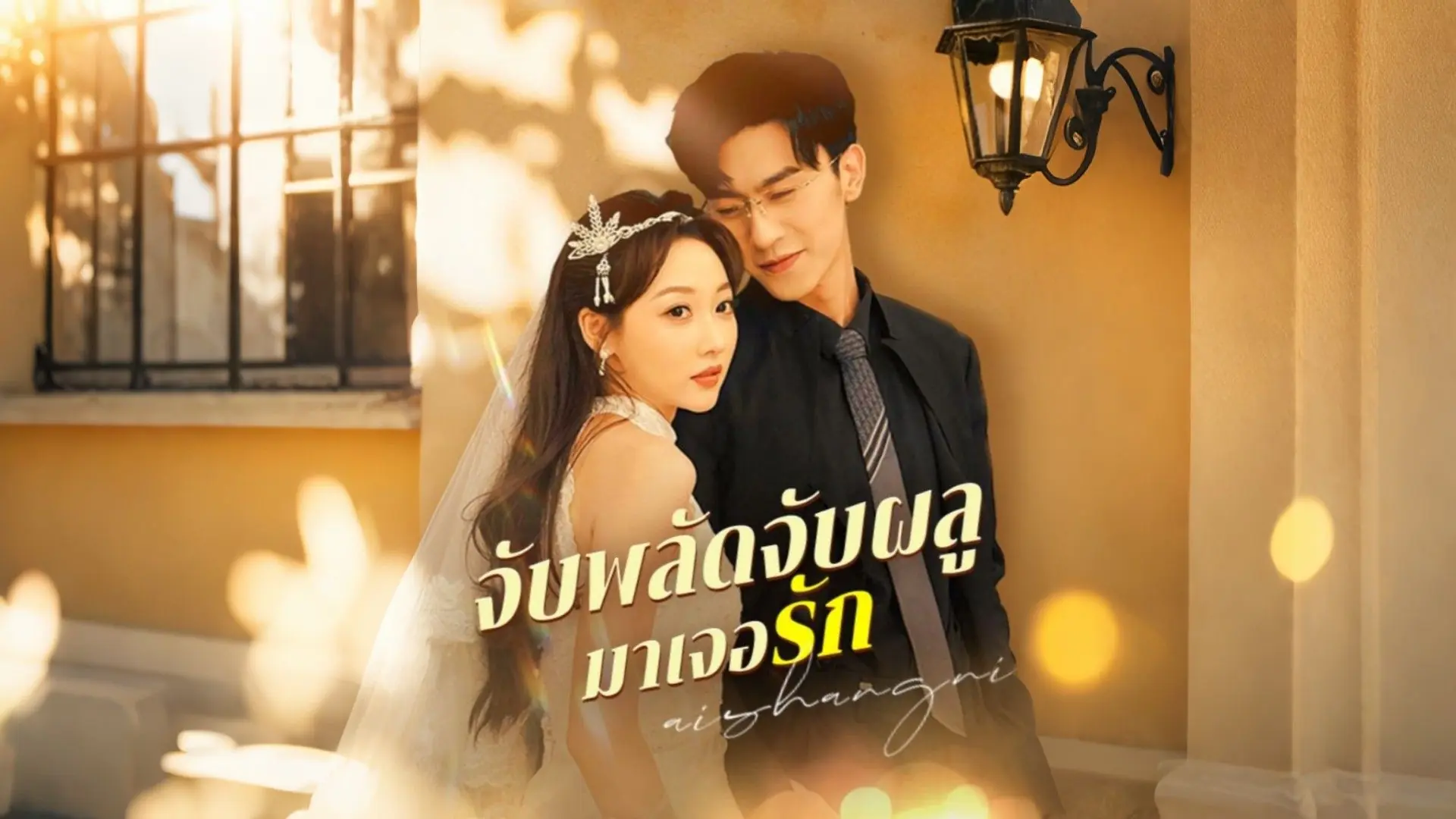 จับพลัดจับผลูมาเจอรัก