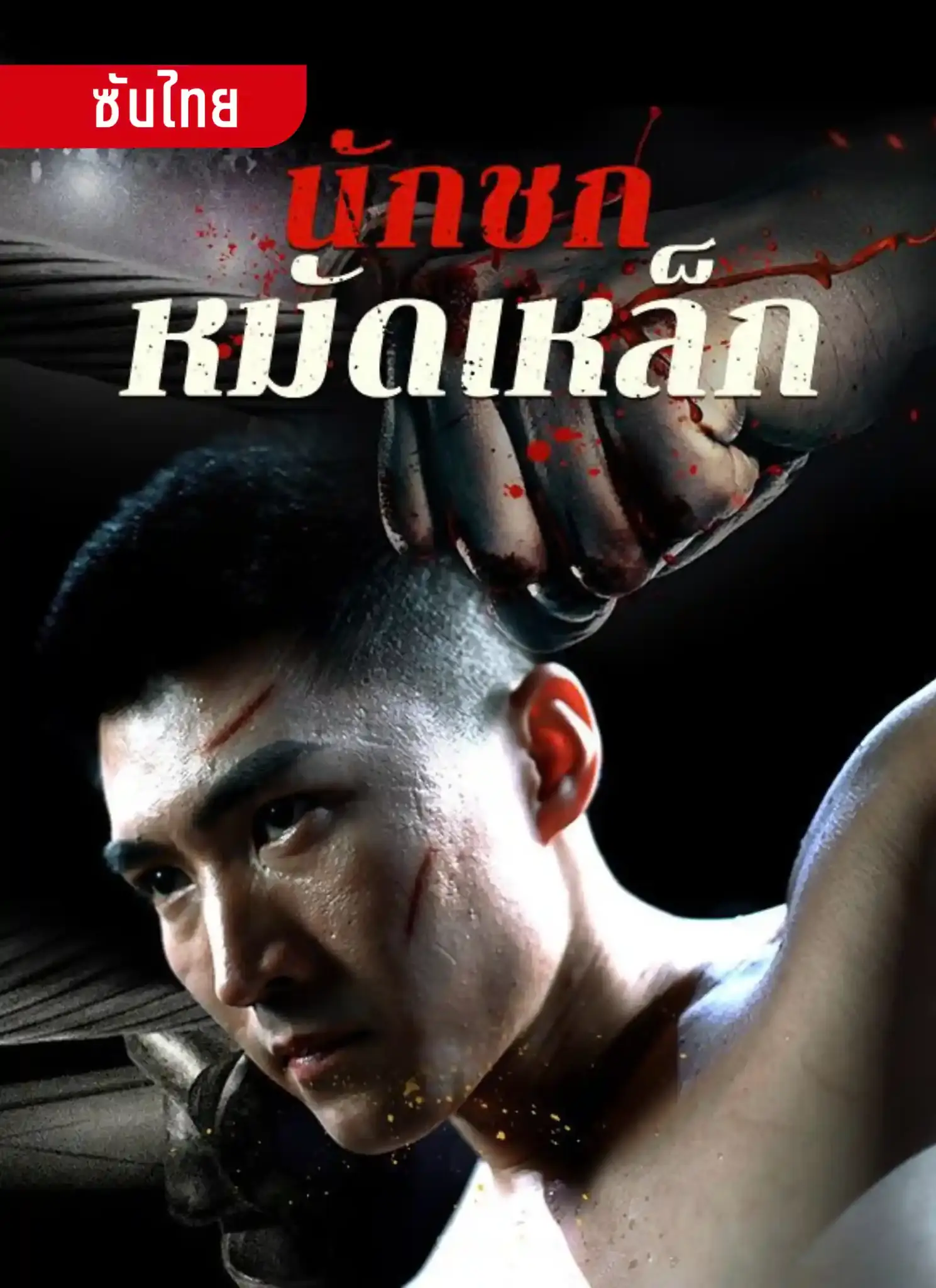 ดูซีรี่ย์จีนสั้น นักชกหมัดเหล็ก (2025) ซับไทย เต็มเรื่อง