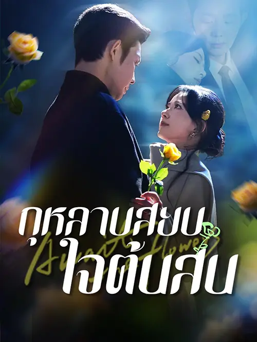 ดูซีรี่ย์จีนสั้น กุหลาบสยบใจต้นสน (2025) ซับไทย เต็มเรื่อง