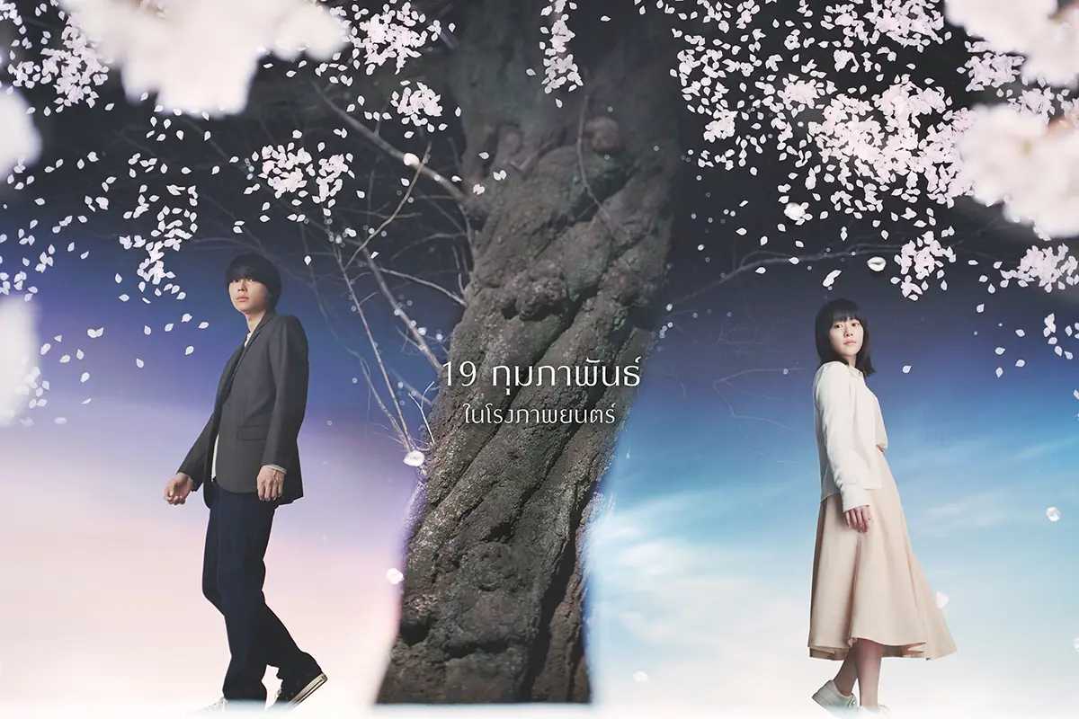 ยามซากุระร่วงโรย