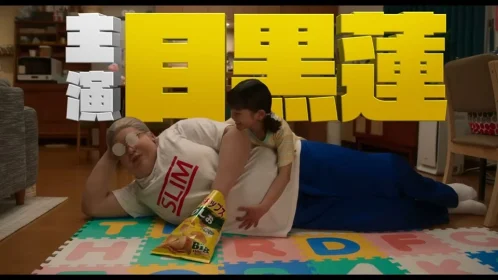 ซากาโมโตะ เดย์ส